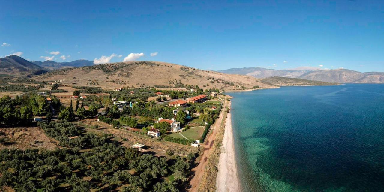 הוילה Galaxidi Mansion מראה חיצוני תמונה